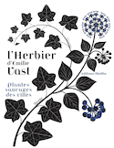 Herbier (L'): plantes sauvages villes